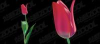 Material de vector de tulipán morado