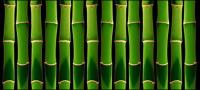 Fondo de bambú verde de la imagen material-2