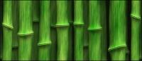 Зеленый бамбук фона изображения материала