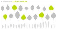 Variedad de hojas de vectores