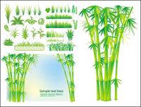 Planta de grama de bambu vector		