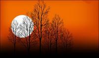 Закат дерево сумерек Луны вектор