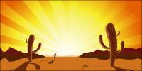 Puesta de sol, desierto de cactus, vector caliente