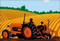 Agricultura, máquinas, vetor campo