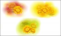 Жълта Chrysanthemum dimorphotheca вектор материали