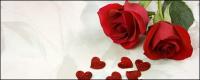 Две червени рози и сърце на картина