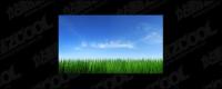 Grass céu imagem material-4