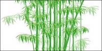 El material de vector de bambú verde