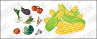 벡터 소재 일반적인 과일 및 야채