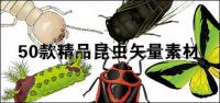 Изящна насекоми-1