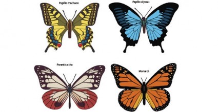Kostenlose Vector Schmetterlinge