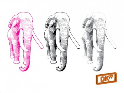 Ilustración del elefante