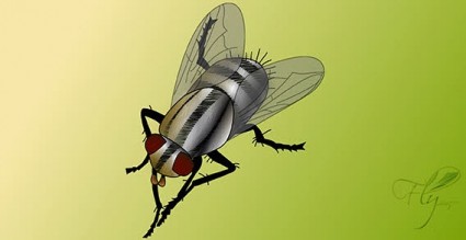 bug vettoriale volare