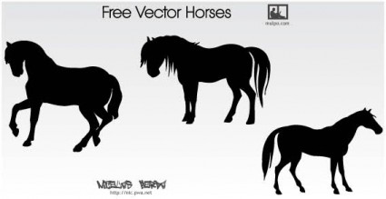 vector gratis de caballo