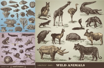 手描きの動物のベクトル