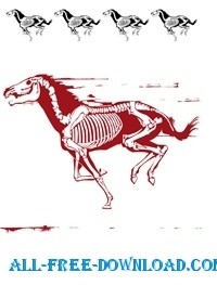 plantilla de caballo silueta skelett