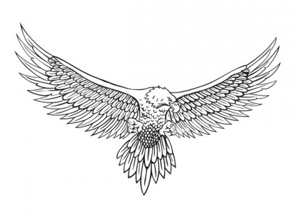 desenho de linha do vetor da águia
