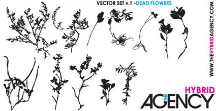 vector flores