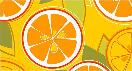 combinación de naranjas del vector