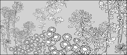 desenho de linha do vetor de crisântemo selvagem de flores