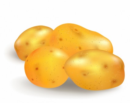 4 감자