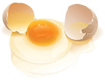 現実的なベクトルの卵
