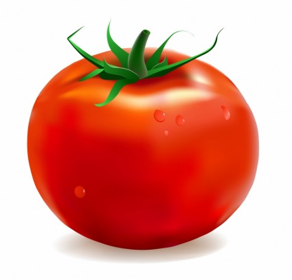 الطماطم