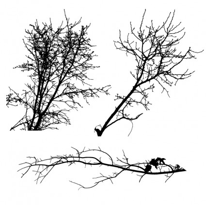 Baum-Silhouetten