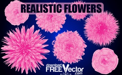 Vektor-realistische Blumen