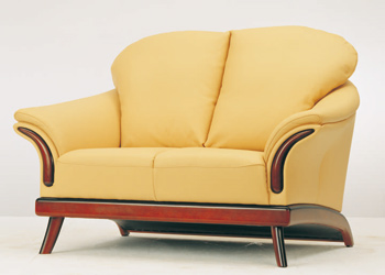 European-style cushion double seats sofa