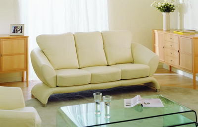 Many leisure sofa 3d model