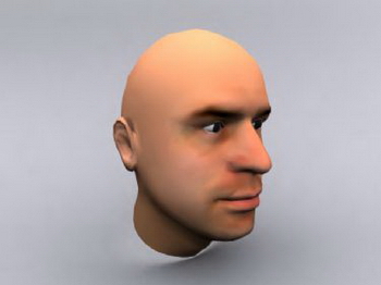 Male head model