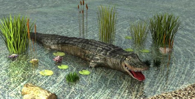 3D animals - crocodile