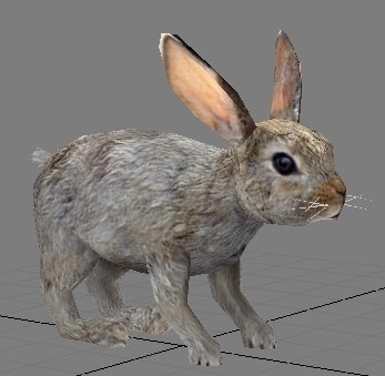 3D model of a small hare