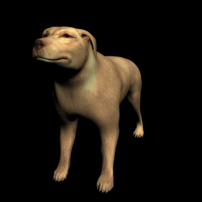 Yellow Dog Model (with map)