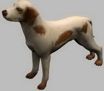 Hound dog puppy canine pet carnivorous 3D Models