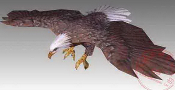 Animal eagle bird hunting goshawk attacks on 3D Model of glider flight