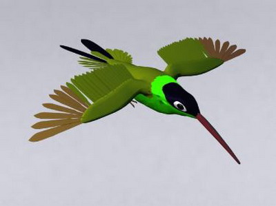 Animal Model: Hummingbird 3Ds Max Model