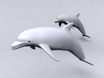 Aminal Model£º Dolphin 3Ds Max Model