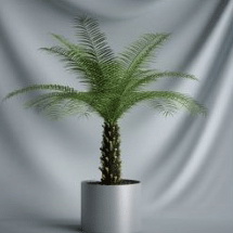 Plant Bonsai Series - 3D Model of coconut trees (including materials)
