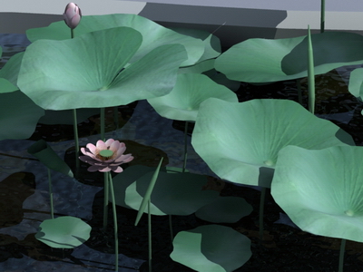 Lotus Leaf with lotus 3D model (with map)