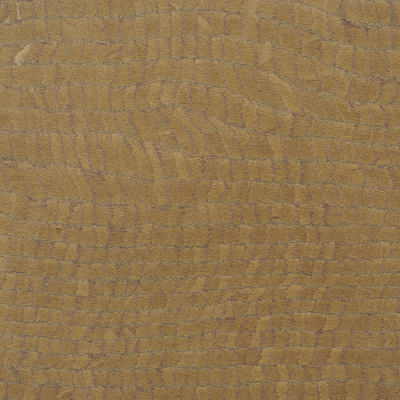3D Texture Commonly Used Wood For Free Download 50