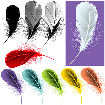 Vector material beautifully colored feathers
