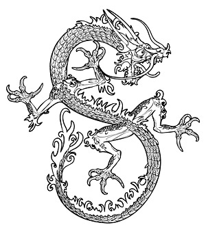 Китайский дракон вектор-3