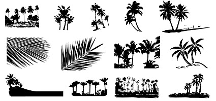 Palm вектор