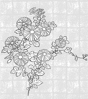 Векторен линия чертеж на цветя-37(Chrysanthemum, background)