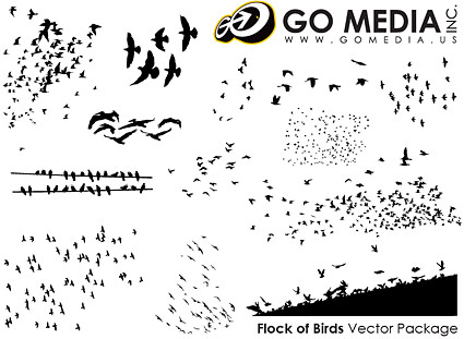 Перейти СМИ произвел векторный материал - птиц в картинках