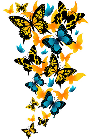 Matériau papillon exquis de vecteur