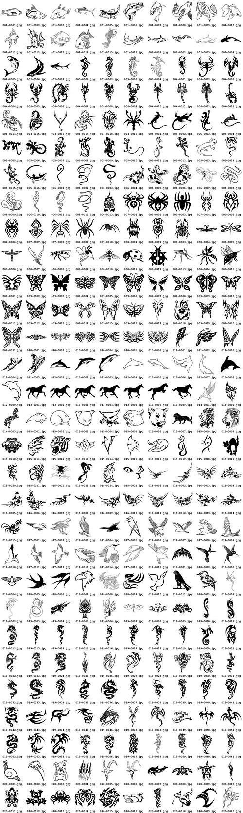 300 الطوطم الحيوانات المختلفة
