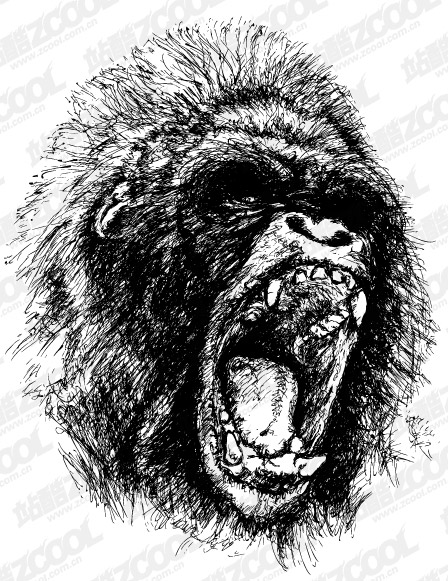 Wilder Gorilla-Vektor-material